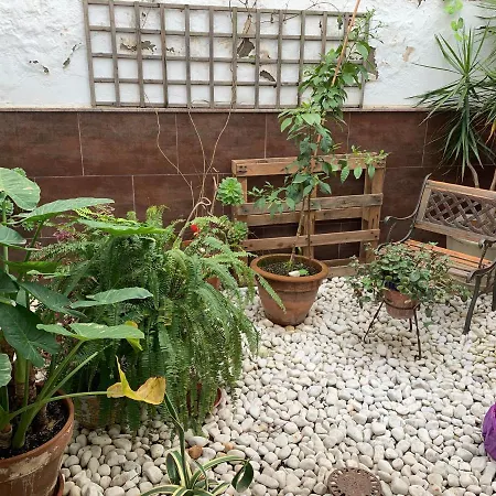 Palma 2 Suenos Jerez de la Frontera