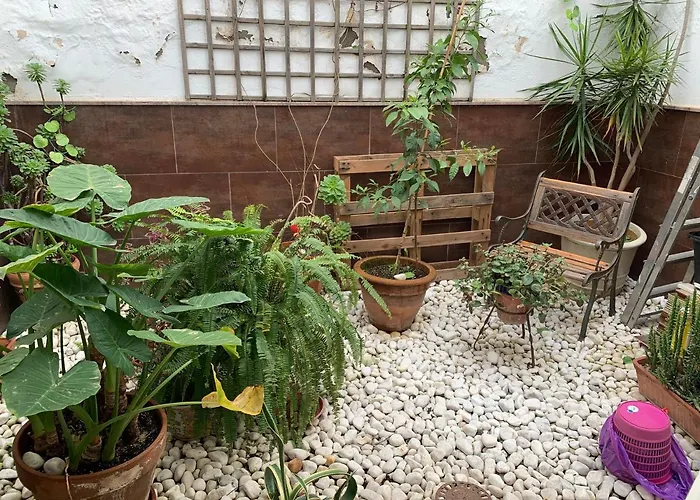 Palma 2 Suenos Jerez de la Frontera